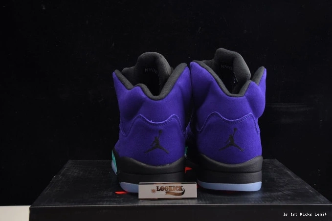 5 Jordan Retro Alternate 136027-500 Grape Air 0728